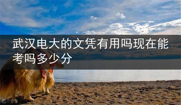 武汉电大的文凭有用吗现在能考吗多少分