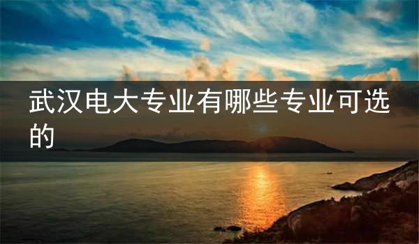 武汉电大专业有哪些专业可选的