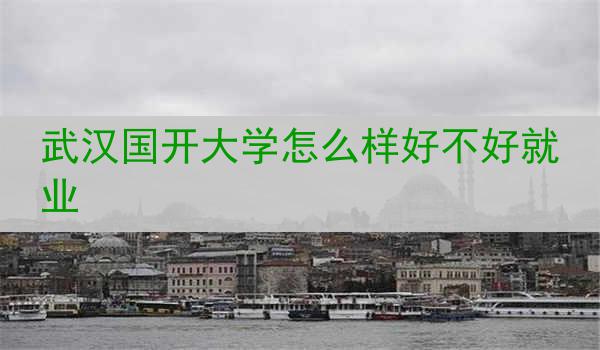 武汉国开大学怎么样好不好就业