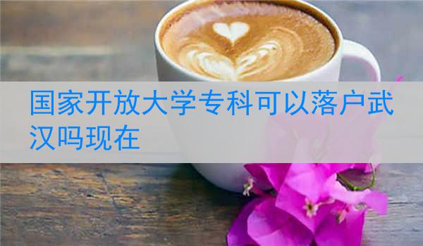 国家开放大学专科可以落户武汉吗现在