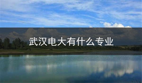 武汉电大有什么专业