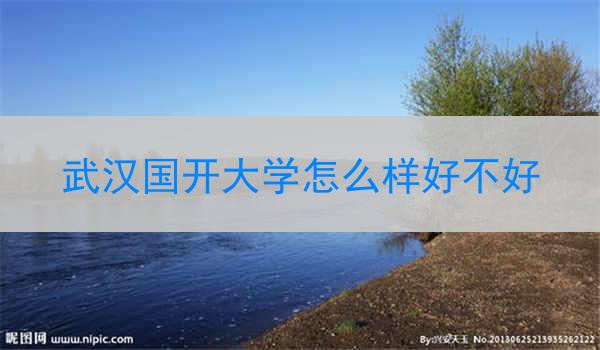 武汉国开大学怎么样好不好