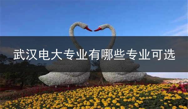 武汉电大专业有哪些专业可选