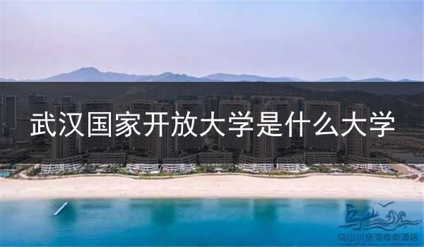 武汉国家开放大学是什么大学