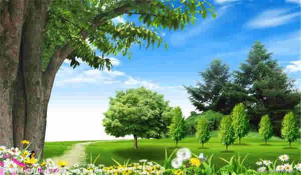 荆州电大在什么地方报名