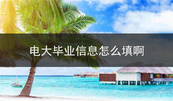 电大毕业信息怎么填啊