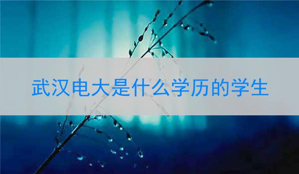 武汉电大是什么学历的学生