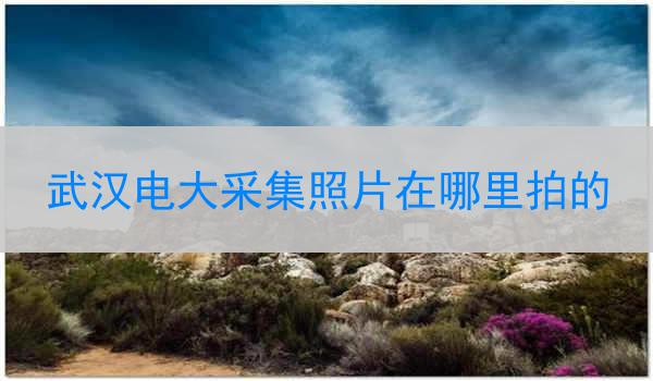 武汉电大采集照片在哪里拍的