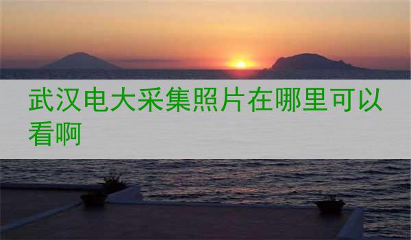 武汉电大采集照片在哪里可以看啊