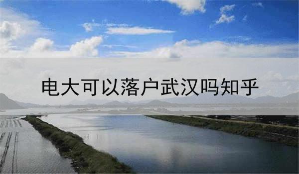 电大可以落户武汉吗知乎