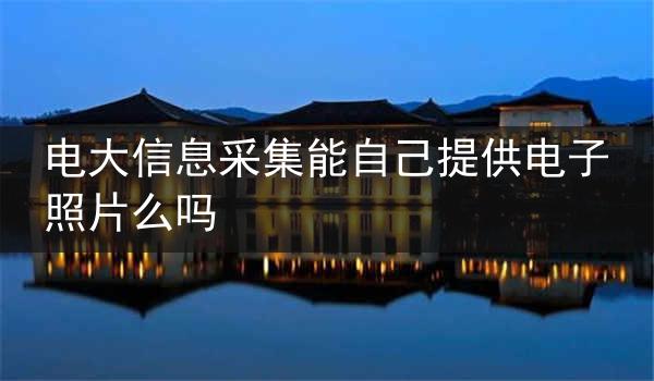 电大信息采集能自己提供电子照片么吗