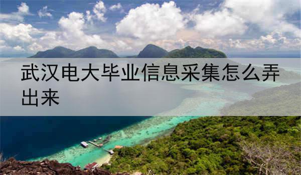 武汉电大毕业信息采集怎么弄出来