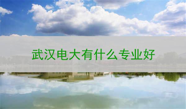武汉电大有什么专业好