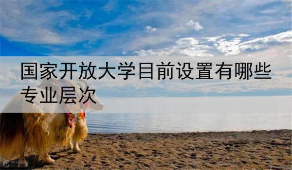 国家开放大学目前设置有哪些专业层次
