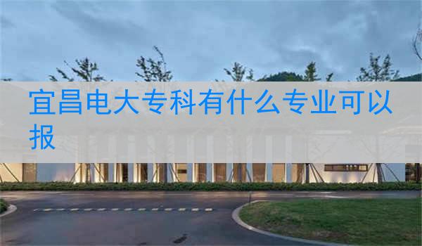 宜昌电大专科有什么专业可以报