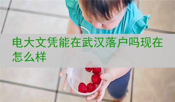 电大文凭能在武汉落户吗现在怎么样