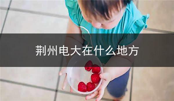 荆州电大在什么地方