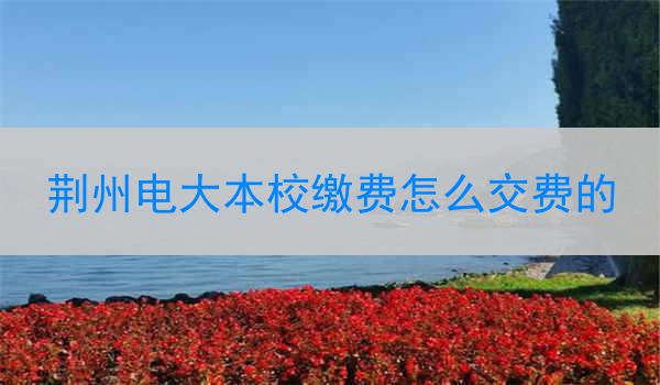 荆州电大本校缴费怎么交费的