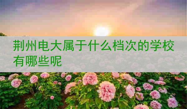 荆州电大属于什么档次的学校有哪些呢