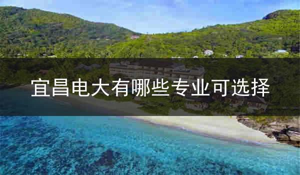 宜昌电大有哪些专业可选择