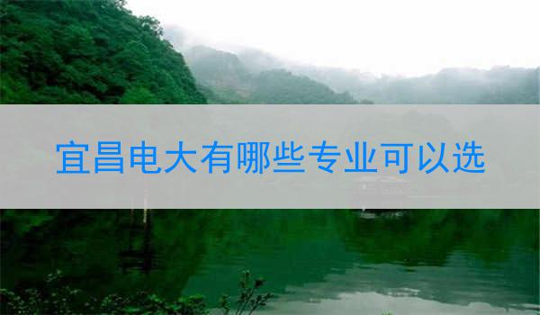 宜昌电大有哪些专业可以选