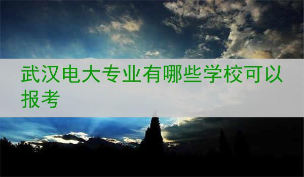 武汉电大专业有哪些学校可以报考