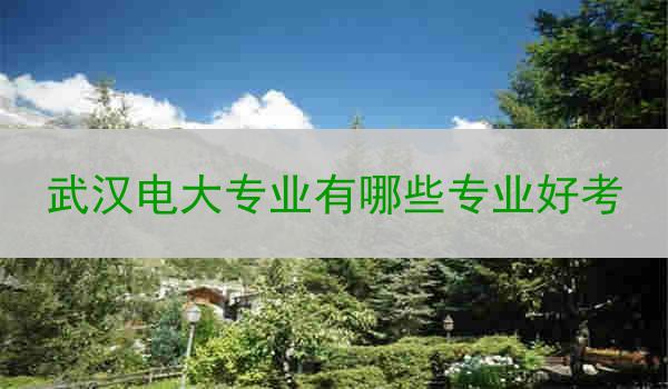 武汉电大专业有哪些专业好考