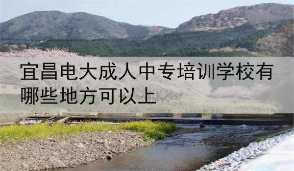 宜昌电大成人中专培训学校有哪些地方可以上