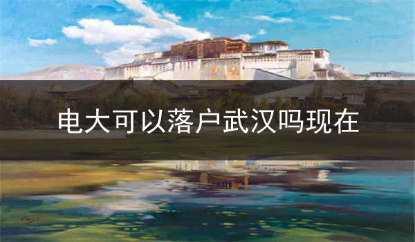 电大可以落户武汉吗现在