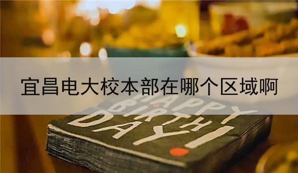 宜昌电大校本部在哪个区域啊
