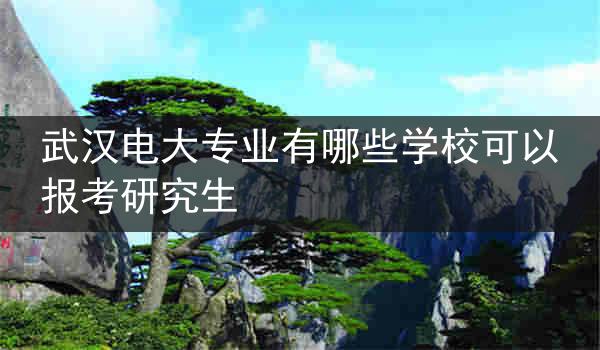 武汉电大专业有哪些学校可以报考研究生