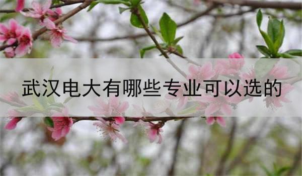 武汉电大有哪些专业可以选的