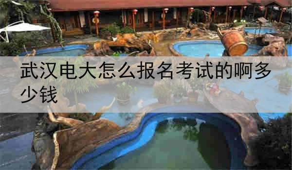 武汉电大怎么报名考试的啊多少钱
