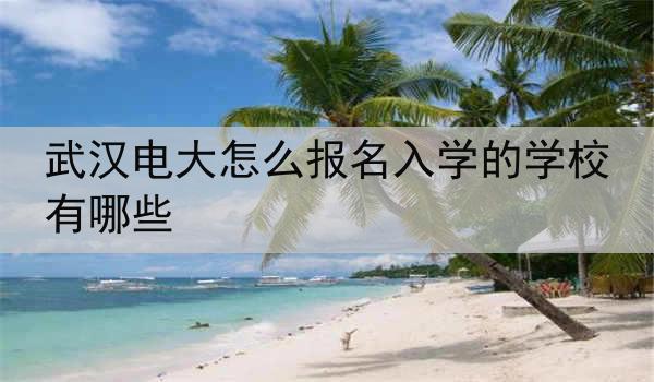 武汉电大怎么报名入学的学校有哪些