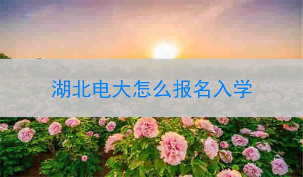 湖北电大怎么报名入学