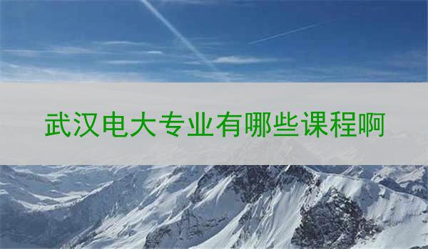 武汉电大专业有哪些课程啊