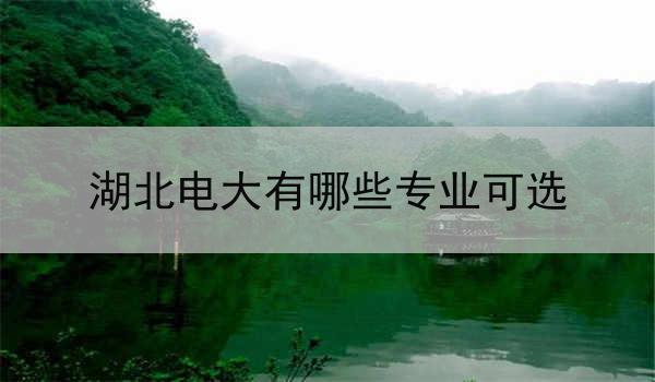 湖北电大有哪些专业可选