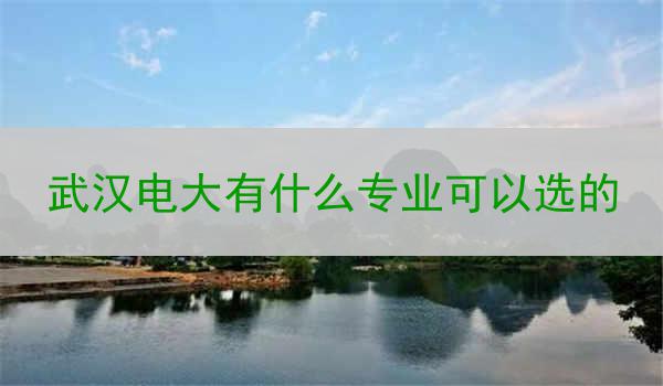 武汉电大有什么专业可以选的