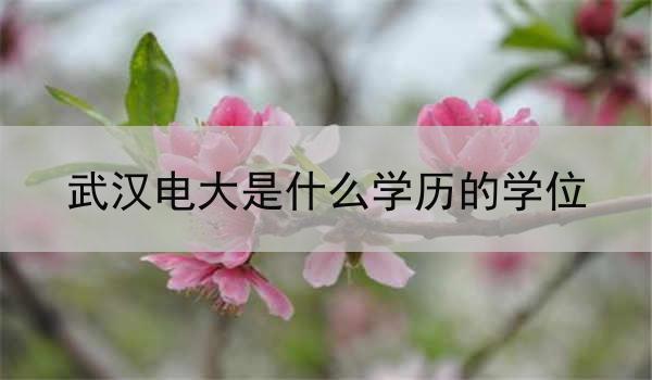武汉电大是什么学历的学位