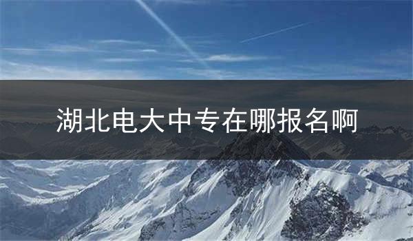 湖北电大中专在哪报名啊