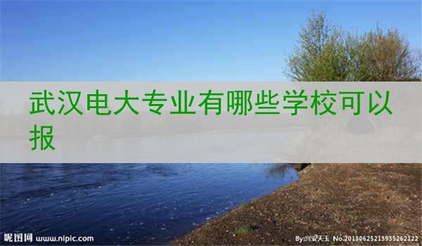 武汉电大专业有哪些学校可以报