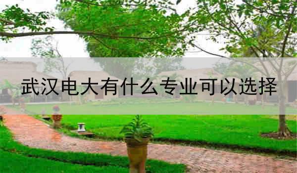 武汉电大有什么专业可以选择