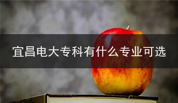 宜昌电大专科有什么专业可选
