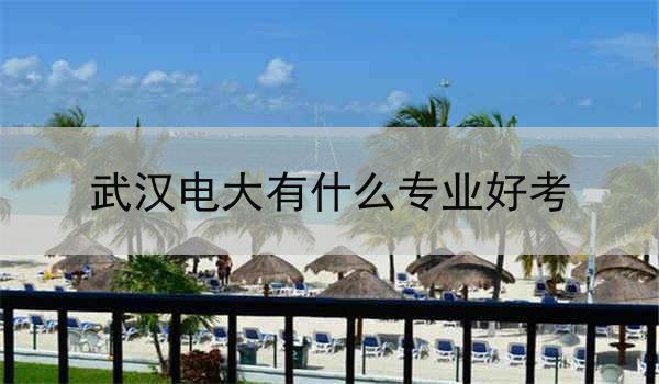 武汉电大有什么专业好考