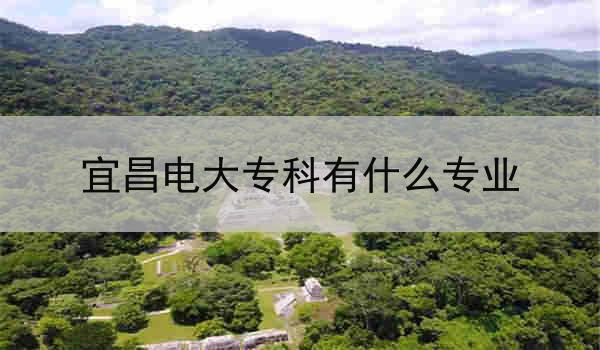 宜昌电大专科有什么专业