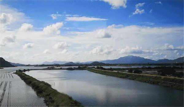 湖北电大中专在哪报名考试呢