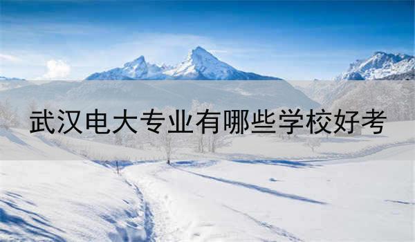 武汉电大专业有哪些学校好考