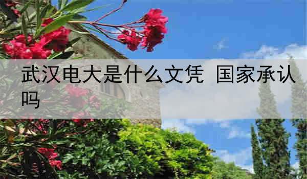 武汉电大是什么文凭 国家承认吗