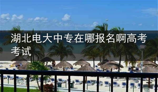 湖北电大中专在哪报名啊高考考试