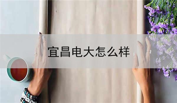 宜昌电大怎么样